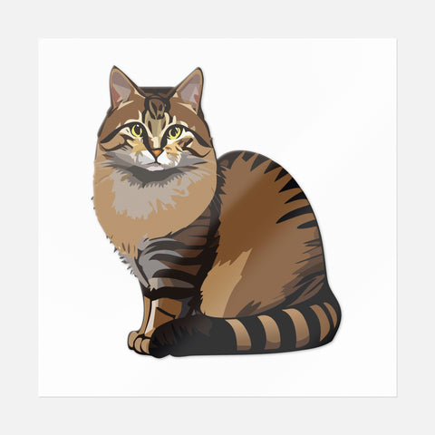 Brown Stripe Cat