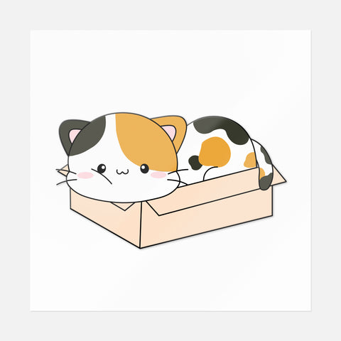 Calico Cat In The Box