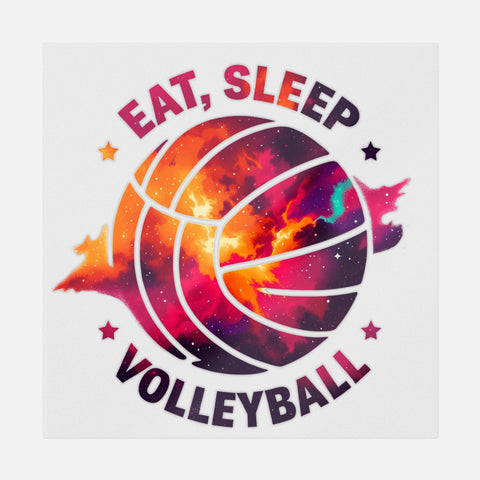 Eat, Sleep, Volleyball Transfer