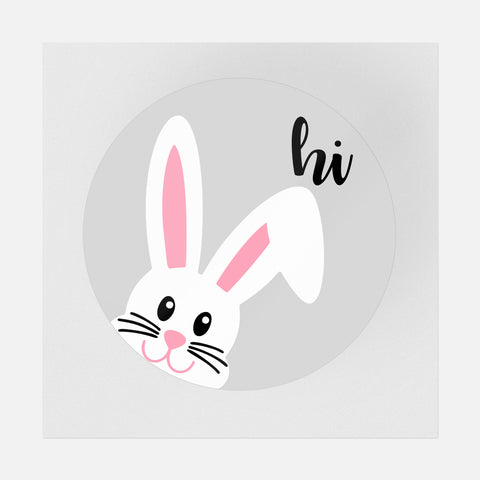 Hi Bunny Transfer