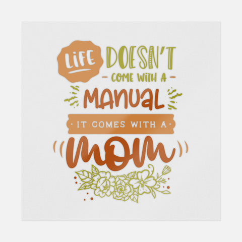 Life Doesn't Come With A Manual Transfer