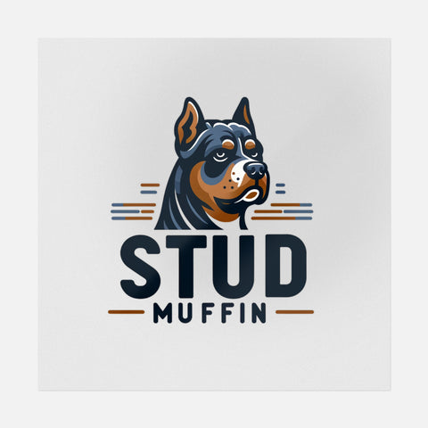 Stud Muffin Transfer