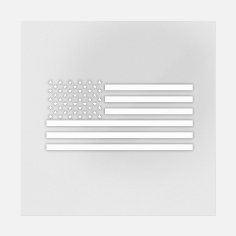 All White American Flag Transfer