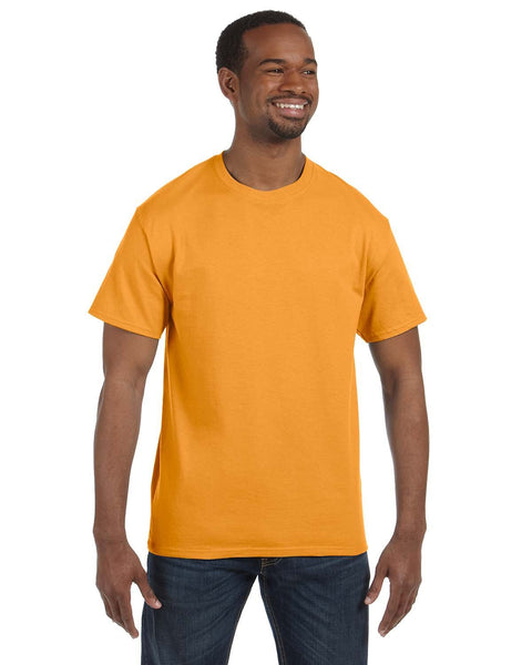 Hanes 5250T Men's Authentic-T T-Shirt