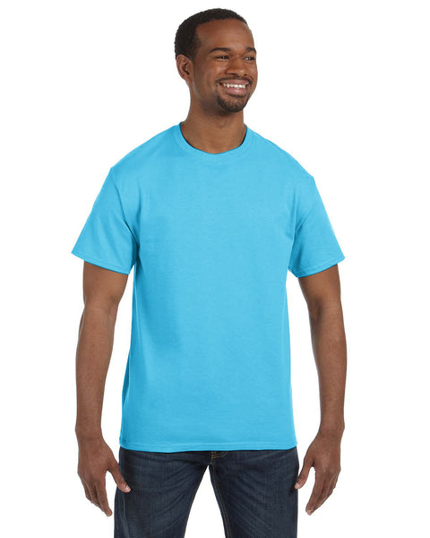 Hanes 5250T Men's T-Shirt - Authentic-T Collection