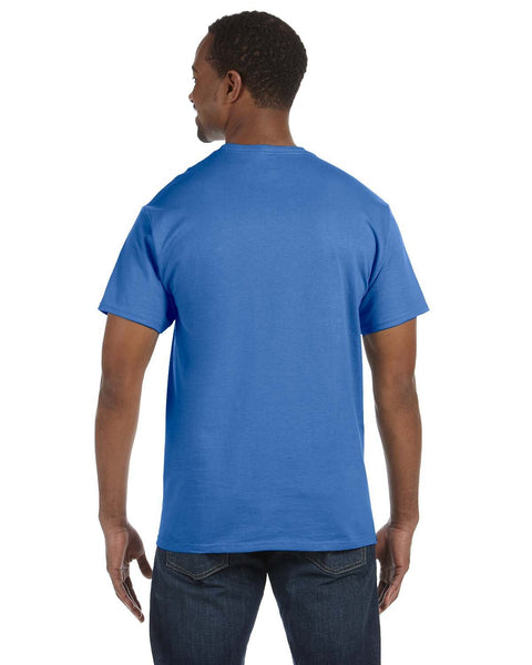 Hanes 5250T Men's Authentic-T T-Shirt